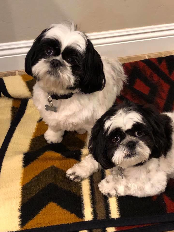 Readers pet photos